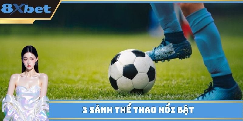 3 sảnh thể thao nổi bật