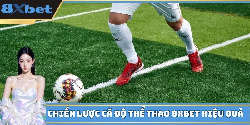 Chiến lược cá độ thể thao 8XBET hiệu quả