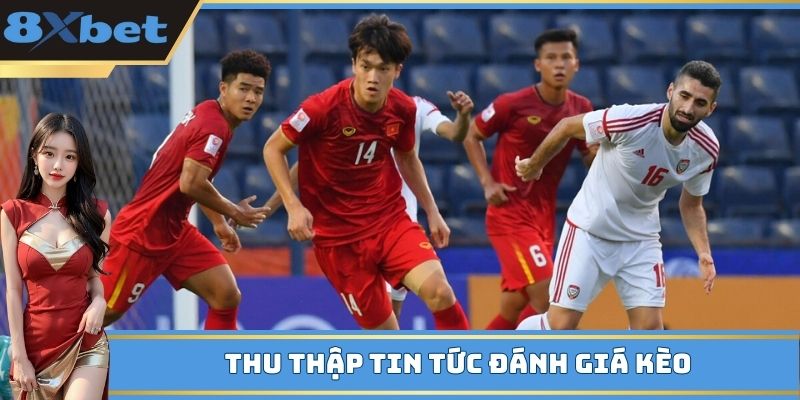 Thu thập tin tức để nhận định cửa tiềm năng