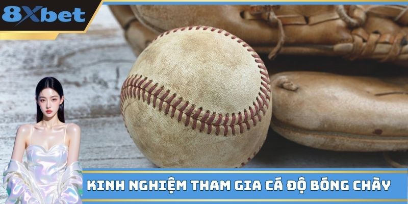 Kinh nghiệm tham gia cá độ bóng chày