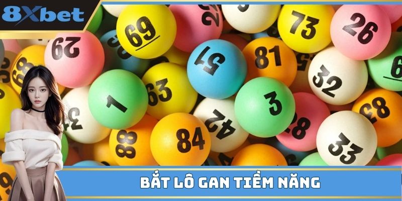 Bắt lô gan tiềm năng để đặt cược