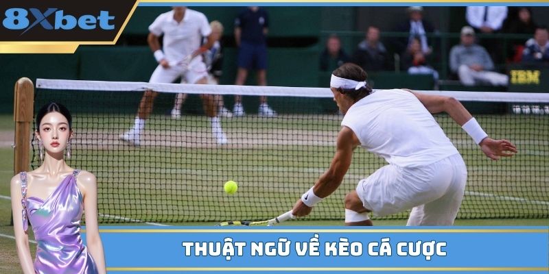 Thuật ngữ cập nhật về các dạng kèo