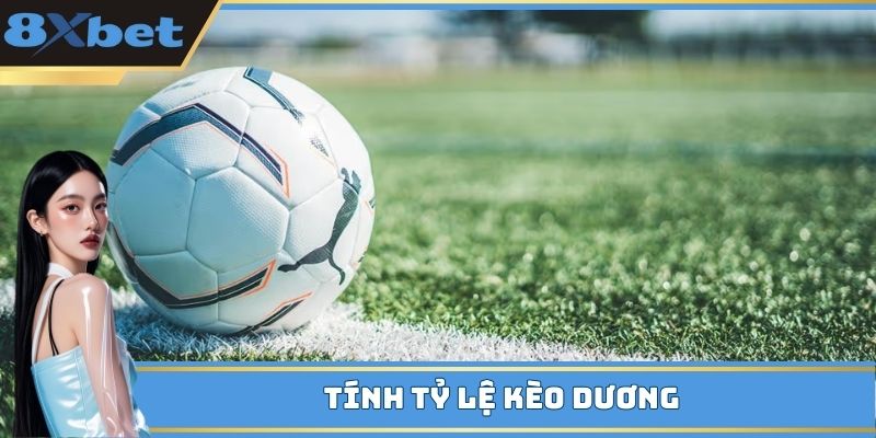 Cách chơi tỷ lệ cược dương rõ ràng